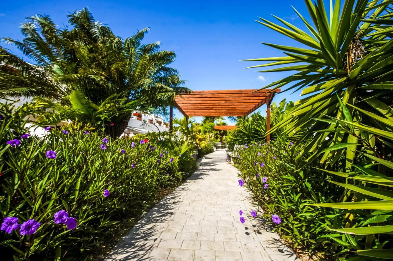 Parque Don Jose Apartment Costa Del Silencio Exterior photo